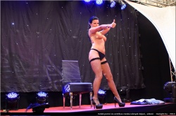 20130429-Erotika kiállítás - Linz 1 (127).jpg